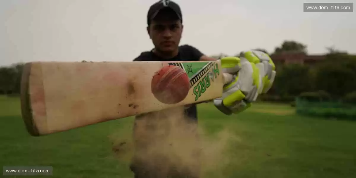 📰 体育新闻，权威速递！🏆 最新战报、深度解读，尽在掌握！